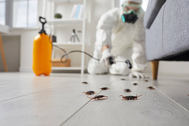 Trusted Fumigation Services service in Centennial Park, AZ - Nex Pest Control